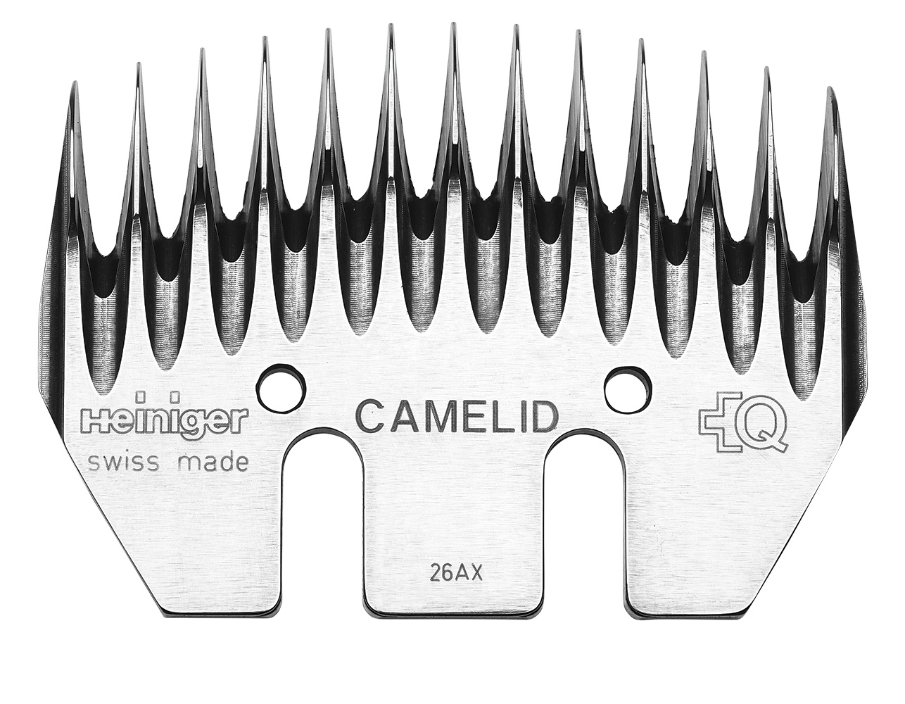 Camelid Kameliden Kamm