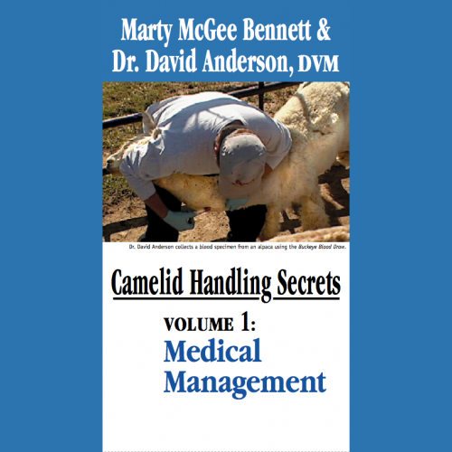 Der Umgang mit Alpakas und Lamas während der medizinischen Versorgung (DVD)