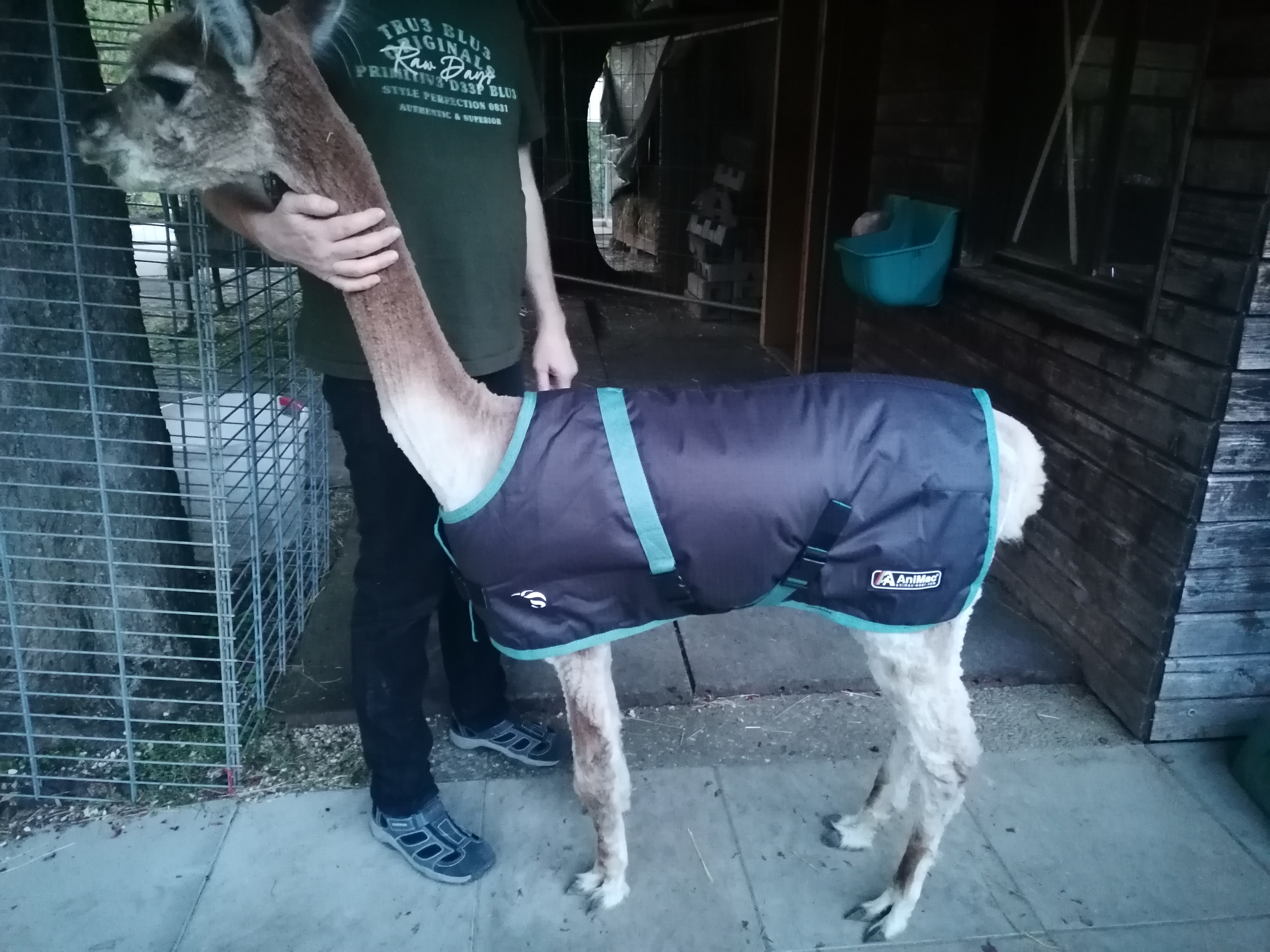 Outdoordecke 71 cm (Alpaka, Cria Lama)