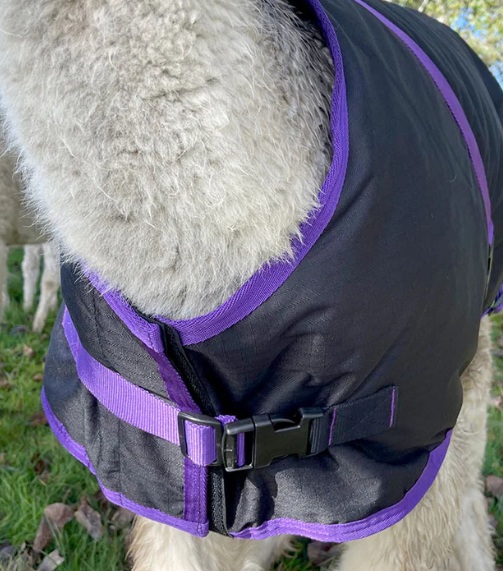 Outdoordecke 84 cm (Alpaka,  Lama)