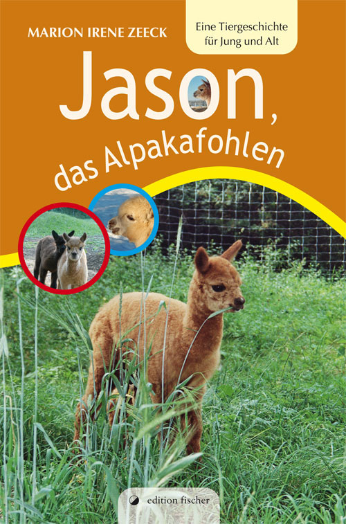Jason das Alpakafohlen